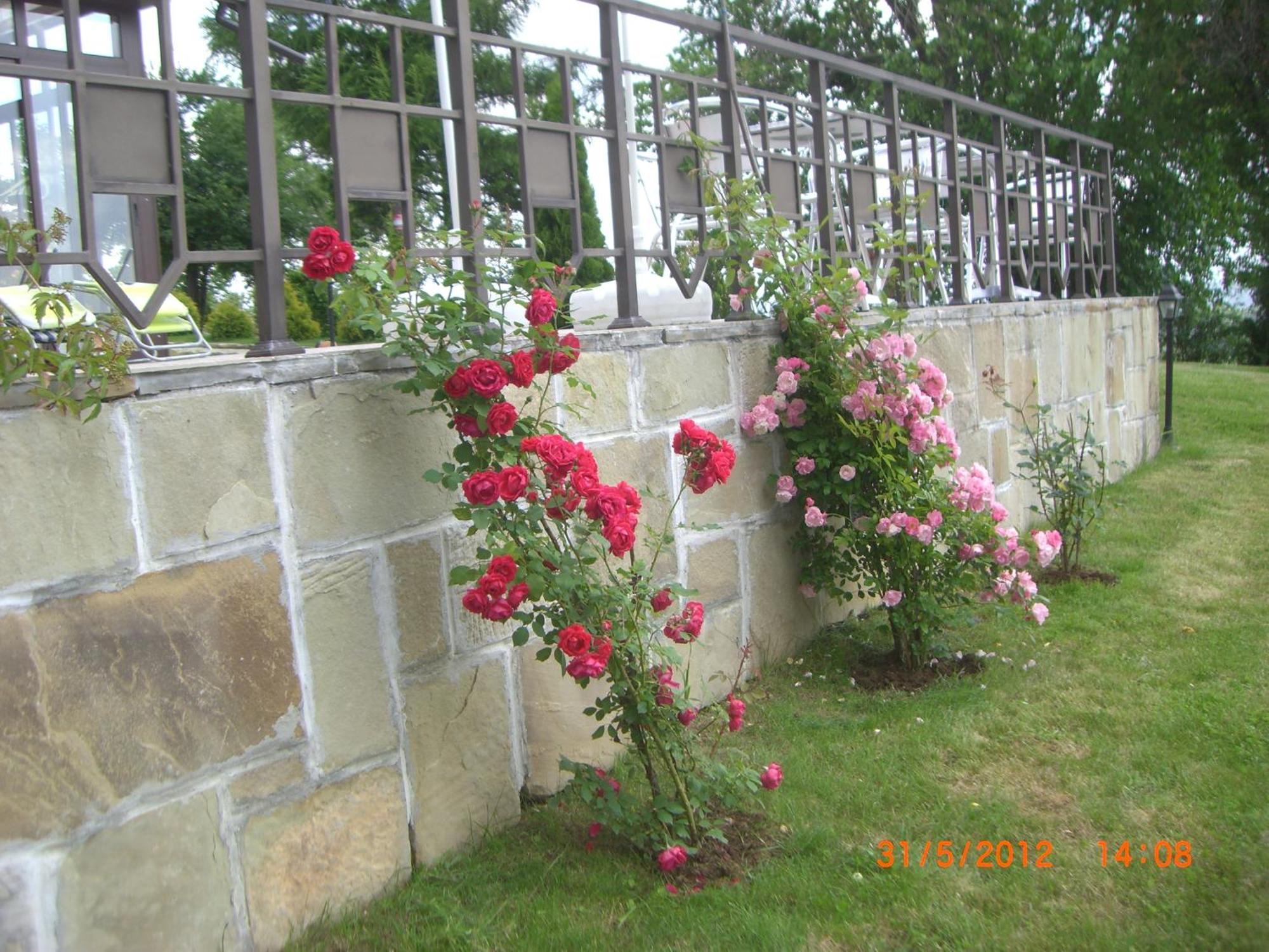 Park Hotel Arbanassi Luaran gambar